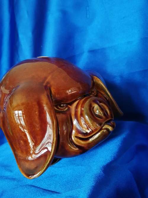 Vintage brown Piggy Bank Money box Angry Pig Dartmouth Pottery Devon