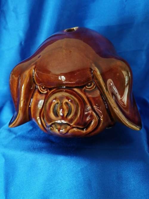 Vintage brown Piggy Bank Money box Angry Pig Dartmouth Pottery Devon
