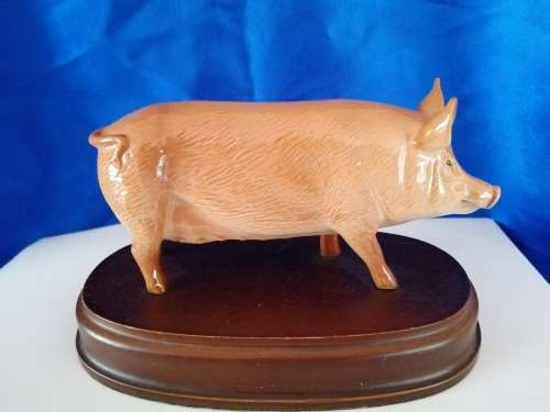 Royal Doulton Tamworth Pig on wooden plinth