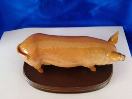 Royal Doulton Tamworth Pig on wooden plinth