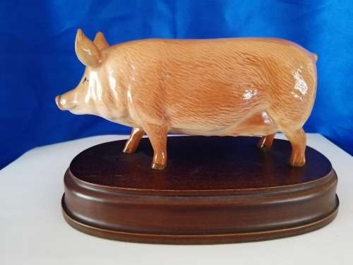 Royal Doulton Tamworth Pig on wooden plinth