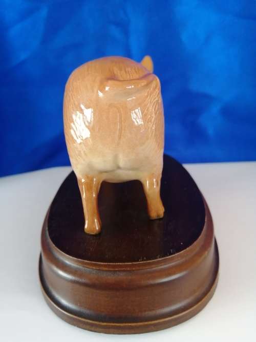Royal Doulton Tamworth Pig on wooden plinth