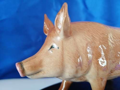 Royal Doulton Tamworth Pig on wooden plinth