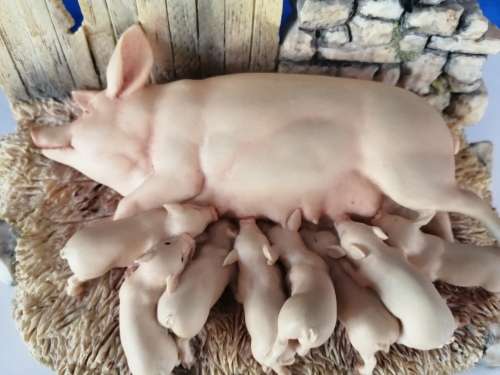Border fine arts james herriot pigs Moses and Bertha