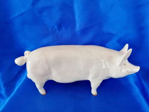 SUPER BESWICK BOAR PIG `CH WALL CHAMPION BOY 53