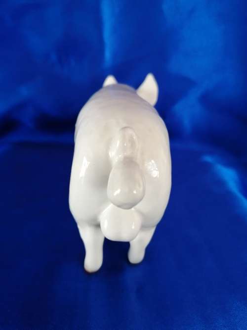 SUPER BESWICK BOAR PIG `CH WALL CHAMPION BOY 53