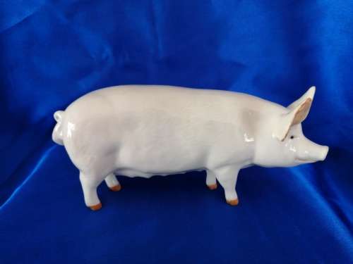 SUPER BESWICK SOW PIG "CH WALL QUEEN 40