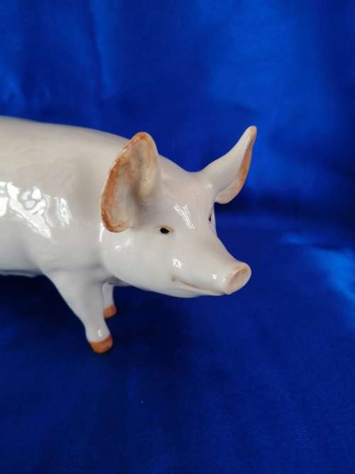 SUPER BESWICK SOW PIG "CH WALL QUEEN 40