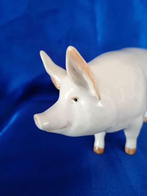 SUPER BESWICK SOW PIG "CH WALL QUEEN 40