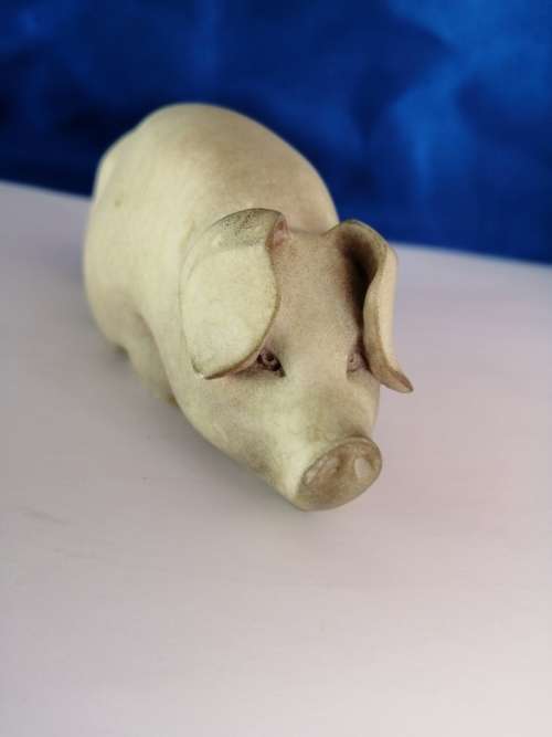Cooper Sheen Contours Pig