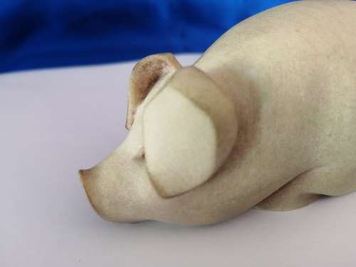 Cooper Sheen Contours Pig