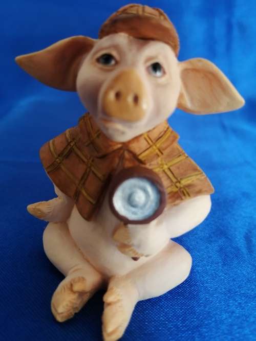 Pigtail Pigs Occupations ` Dectective `