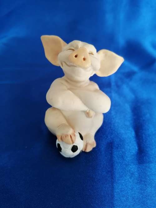 Pigtail Pigs Occupations ` Football `