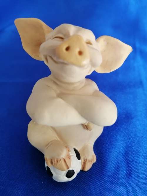 Pigtail Pigs Occupations ` Football `