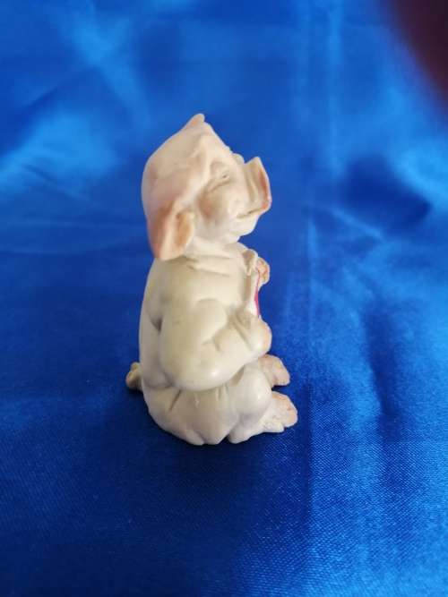 Pigtail Pigs Occupations ` Passed `