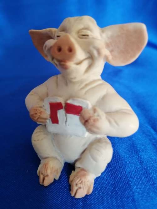 Pigtail Pigs Occupations ` Passed `
