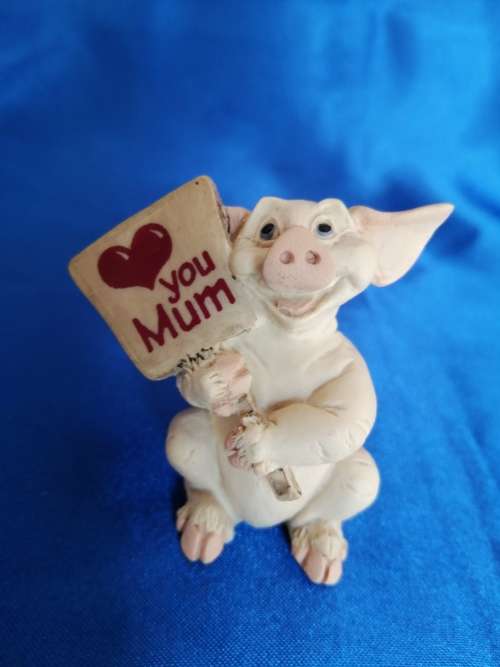 Pigtail Pigs Occupations ` Love You Mum `