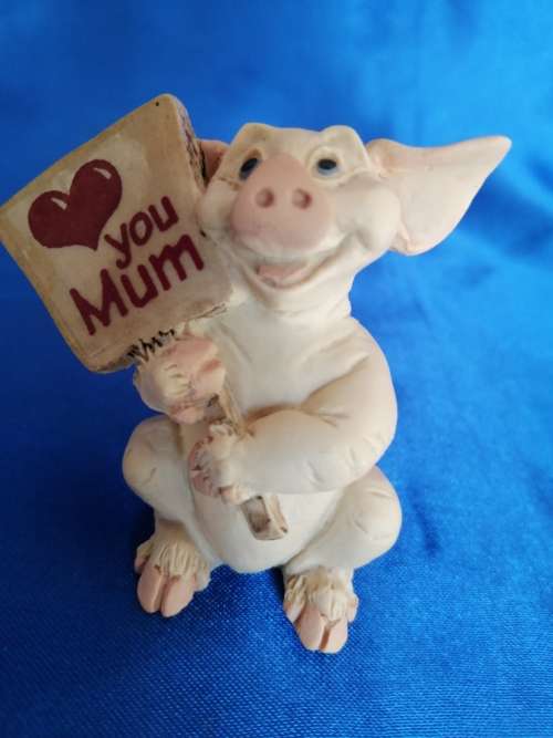 Pigtail Pigs Occupations ` Love You Mum `