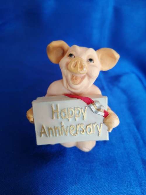Pigtail Pigs Occupations ` Happy Anniversary `