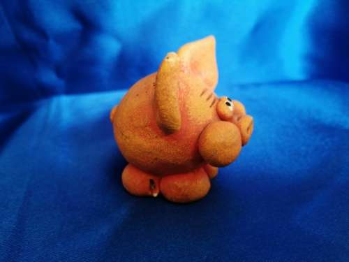 Sweet Orange Pig