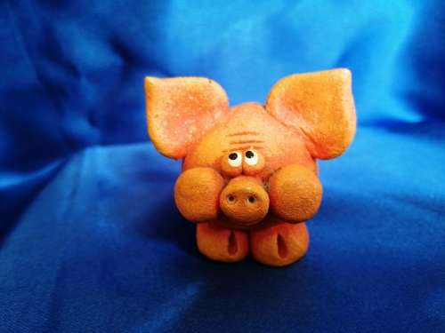 Sweet Orange Pig