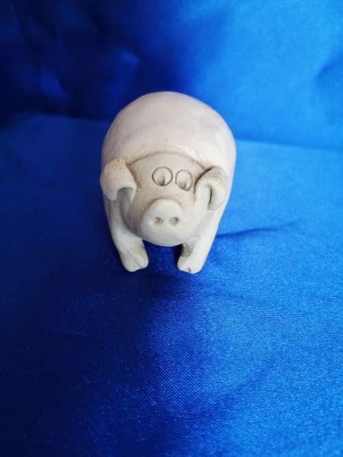 Sweet Chubby Pig