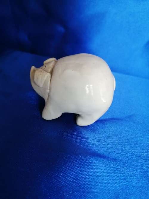 Sweet Chubby Pig