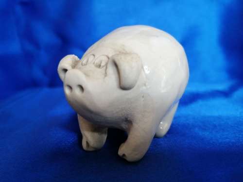 Sweet Chubby Pig