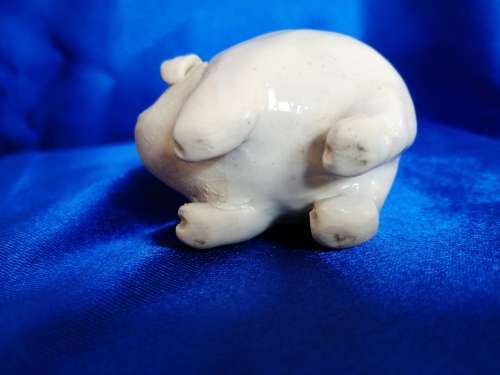 Sweet Chubby Pig