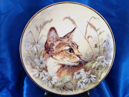 Stunning AJL Gifthouse Cute Tabby Cat Plate