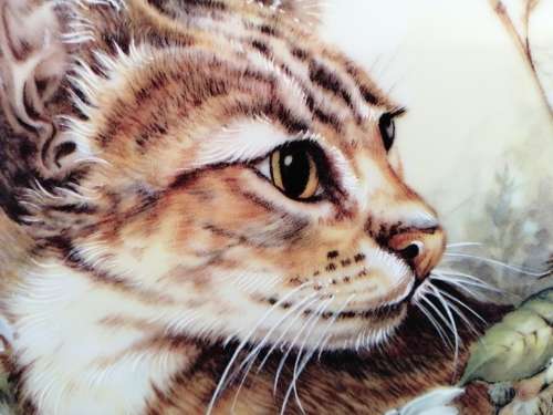Stunning AJL Gifthouse Cute Tabby Cat Plate