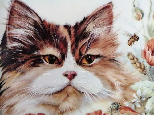 Stunning AJL Gifthouse Cute Long Haired Tabby Cat Plate