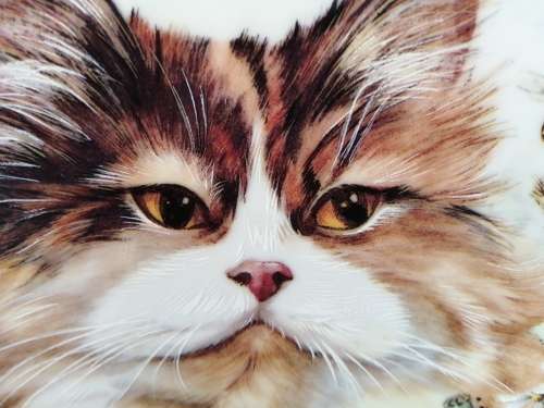 Stunning AJL Gifthouse Cute Long Haired Tabby Cat Plate