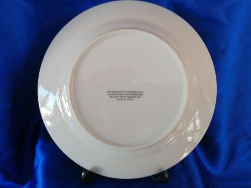 Stunning Pig Piggy Plate for Display