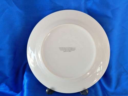 Stunning Pig Piggy Plate for Display