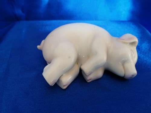 Chubby cute sleeping pig piglet