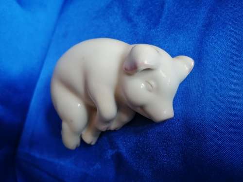 Chubby cute sleeping pig piglet