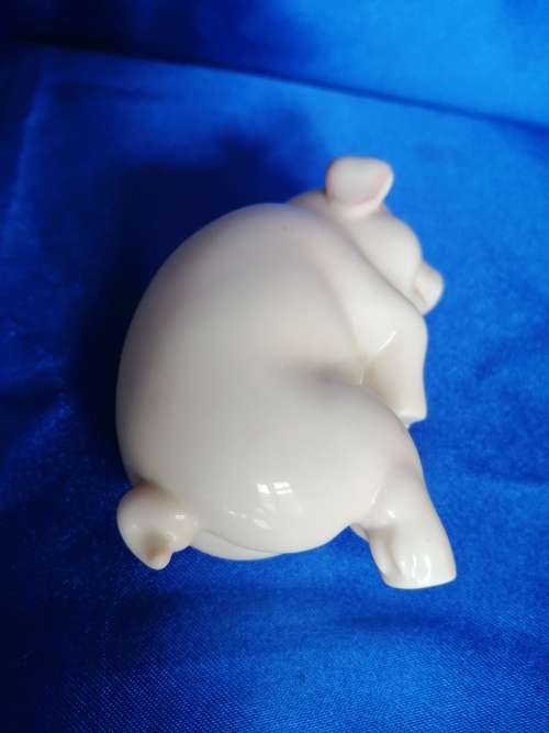 Chubby cute sleeping pig piglet