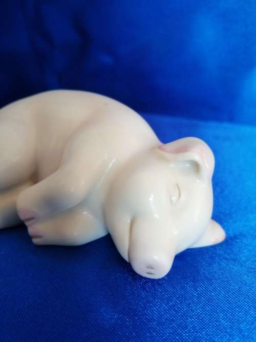 Chubby cute sleeping pig piglet