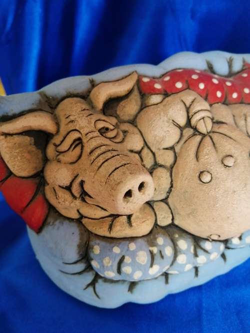 Pig on Couch John Hugths Wales