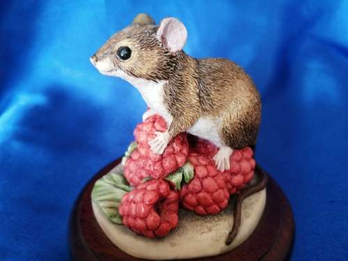 Border Fine Arts - 'Mouse & Raspberries' - MM03 - Made in Scotland