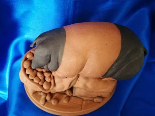 Vintage Large Pottery Pig eating a bag of apples