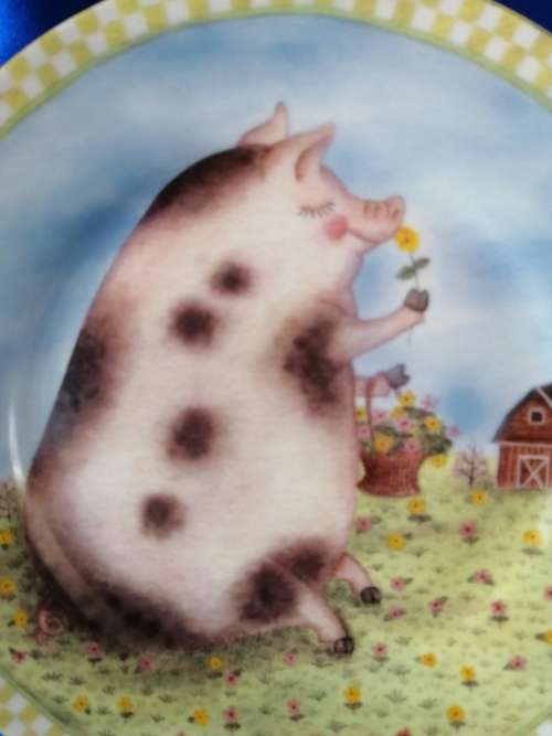 Stunning Pig Piggy Plate for Display