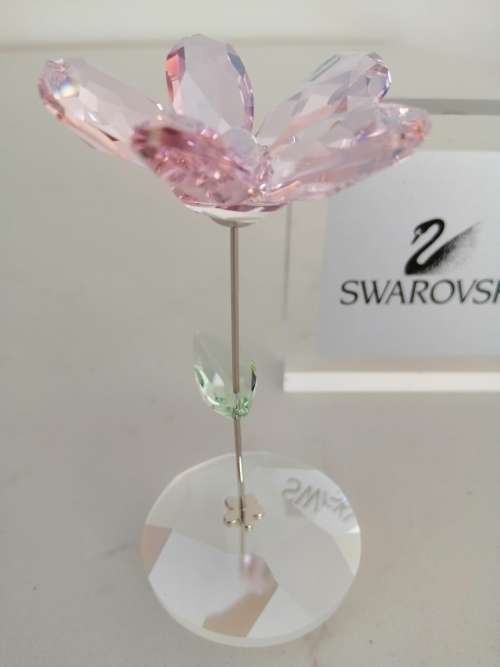 Swarovski Fiore Rosa Ondeggiante Lou Cristallo-rocking Flower Crystal