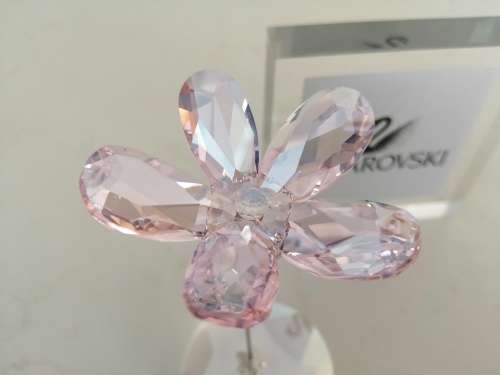 Swarovski Fiore Rosa Ondeggiante Lou Cristallo-rocking Flower Crystal