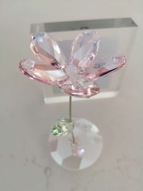 Swarovski Fiore Rosa Ondeggiante Lou Cristallo-rocking Flower Crystal