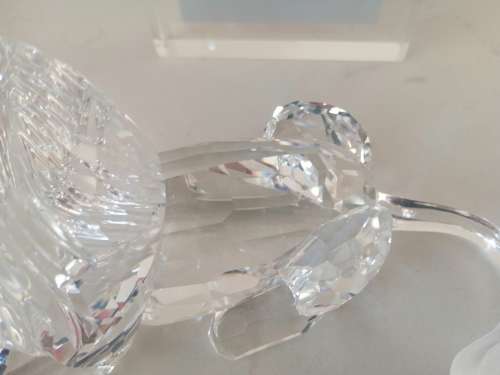 SWAROVSKI Crystal Lion  Rare Encounters #