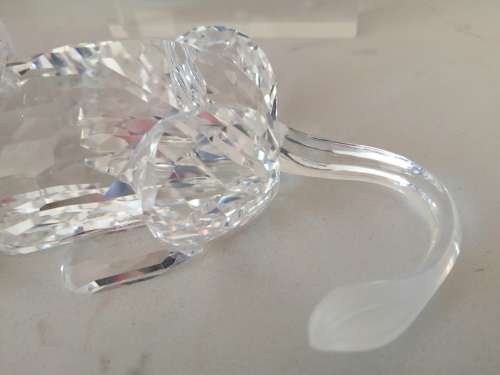 SWAROVSKI Crystal Lion  Rare Encounters #