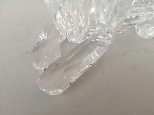 SWAROVSKI Crystal Lion  Rare Encounters #
