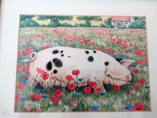 Stunning Pigs in Bloom Print `Poppy` #